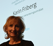 Karin Friberg, If Skadeförsäkringar